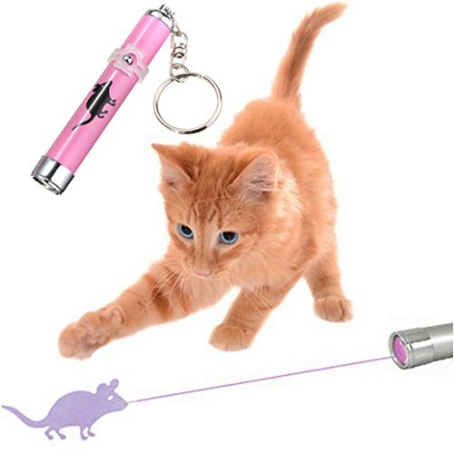 Laser Pointer Cat Toy Keychain with Mouse Pattern by HitMyNeed