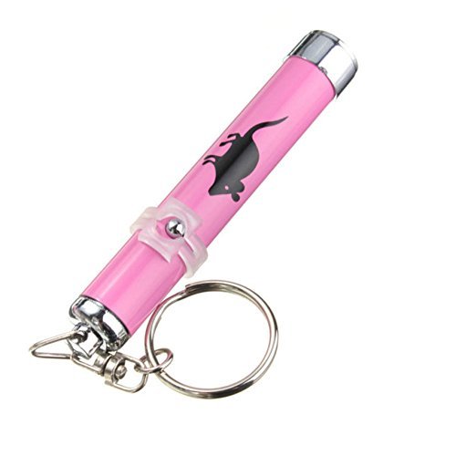 Laser Pointer Cat Toy Keychain with Mouse Pattern by HitMyNeed