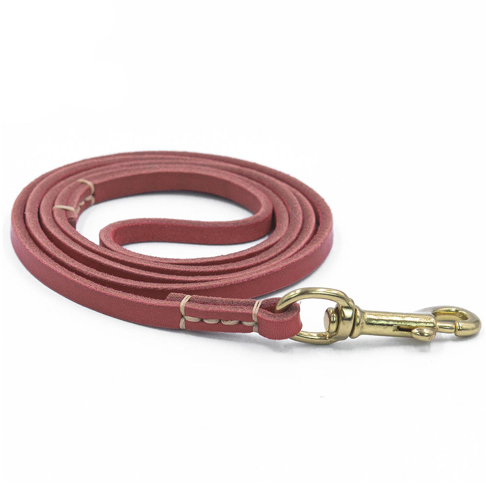 Leather Dog Leash for Small & Medium Dogs by HitMyNeed