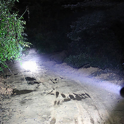 LED Baseball Bat Flashlight for Outdoor Safety by HitMyNeed