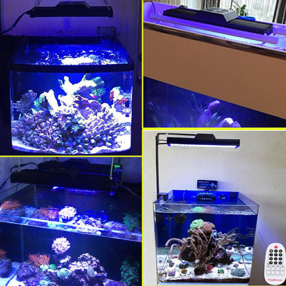 LED Fish Tank Light with Remote and Timer, 40cm by HitMyNeed