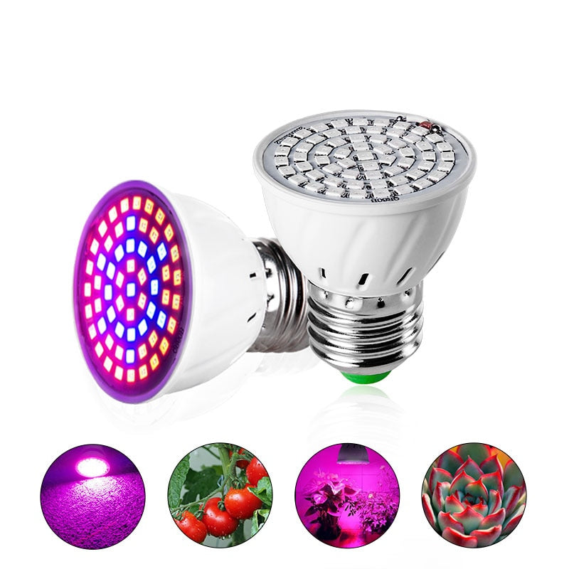 LED Grow Light Bulb for Indoor Plants 580 Lumen by HitMyNeed