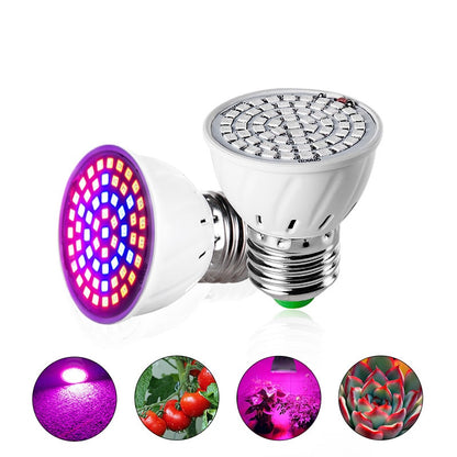 LED Grow Light Bulb for Indoor Plants 580 Lumen by HitMyNeed