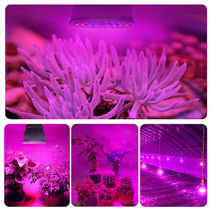 LED Grow Light Bulb for Indoor Plants 580 Lumen by HitMyNeed