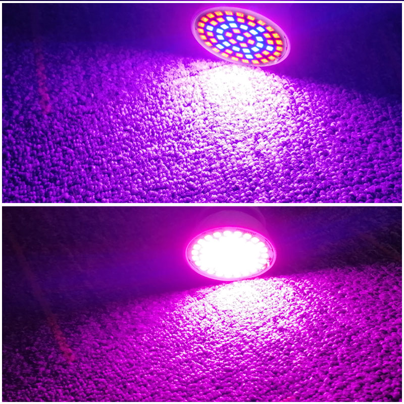 LED Grow Light Bulb for Indoor Plants 580 Lumen by HitMyNeed