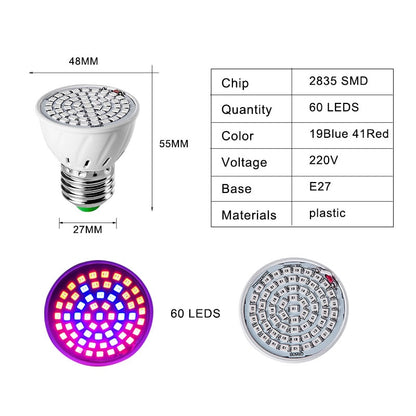 LED Grow Light Bulb for Indoor Plants 580 Lumen by HitMyNeed