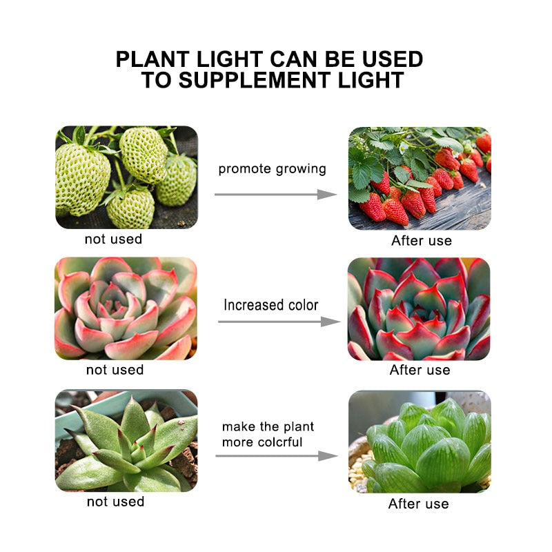 LED Grow Light Bulb for Indoor Plants 580 Lumen by HitMyNeed