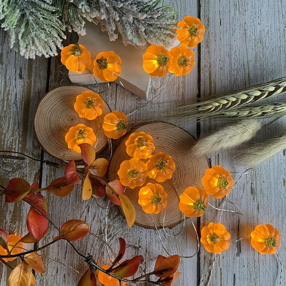LED Pumpkin String Lights with Remote Control, 3m by HitMyNeed