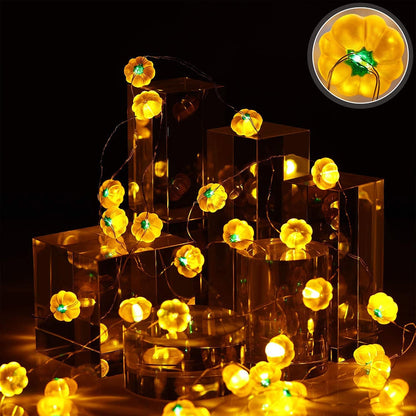 LED Pumpkin String Lights with Remote Control, 3m by HitMyNeed