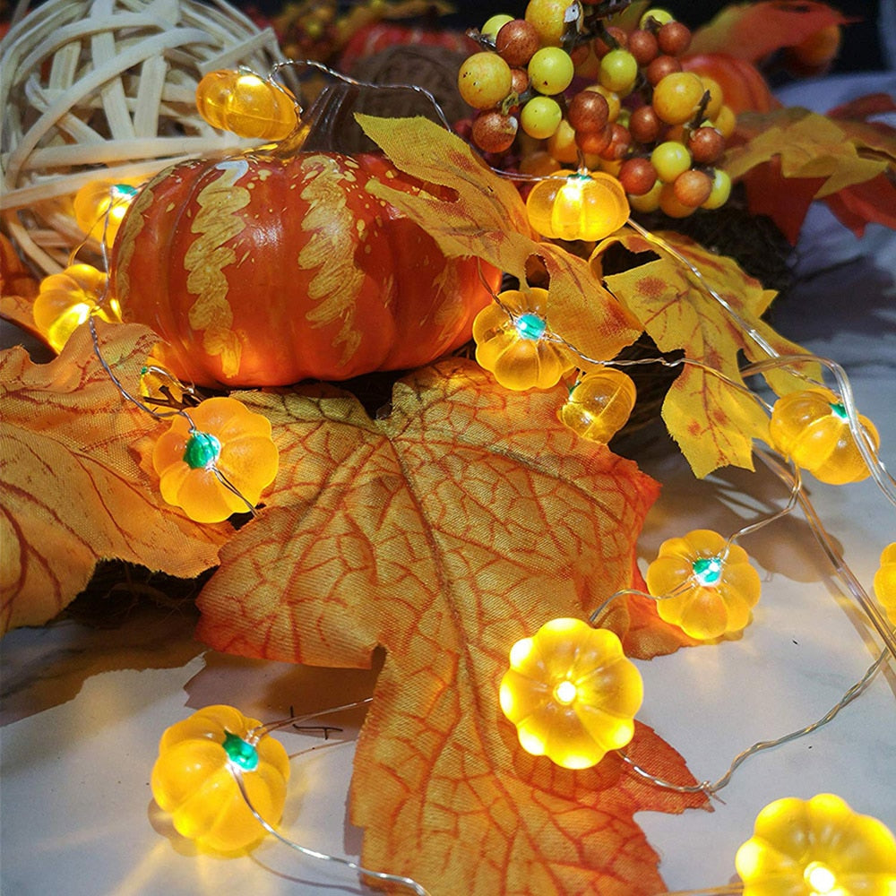LED Pumpkin String Lights with Remote Control, 3m by HitMyNeed