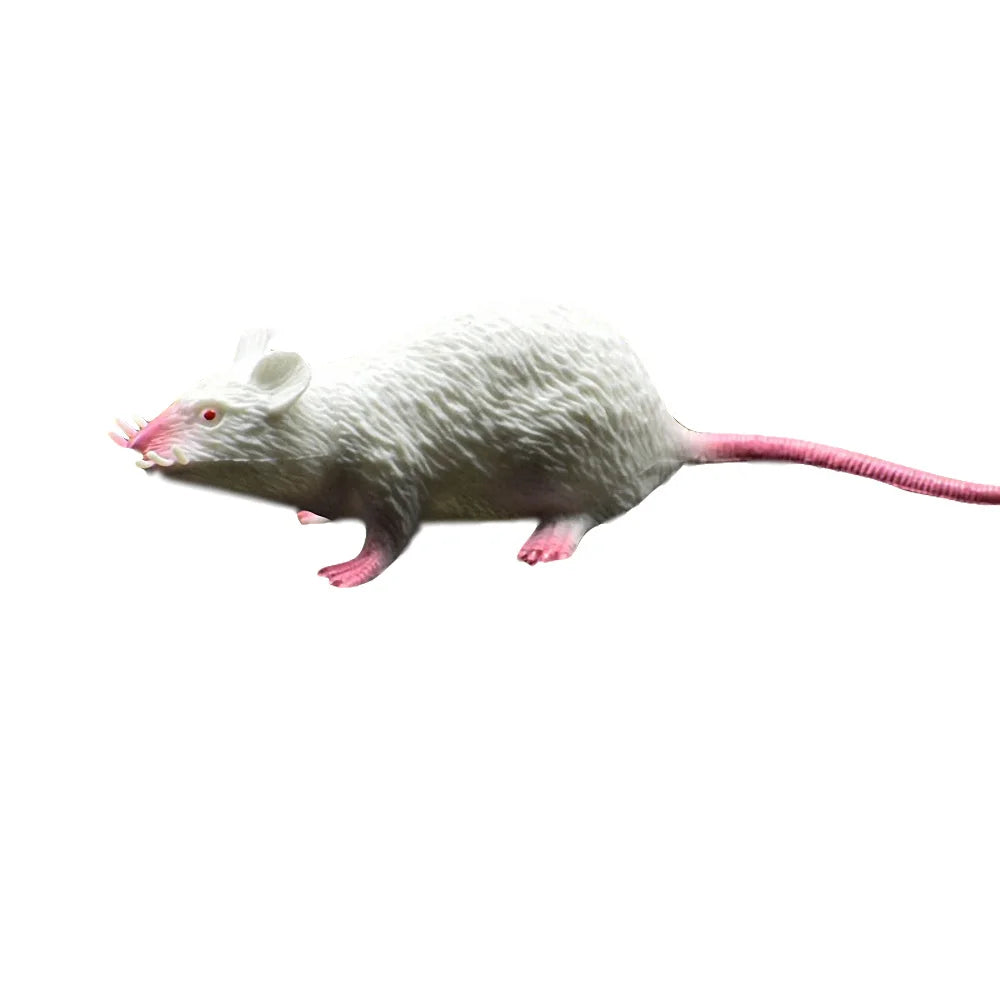 Lifelike Fake Rat Prank Toy for Halloween & Jokes white by HitMyNeed