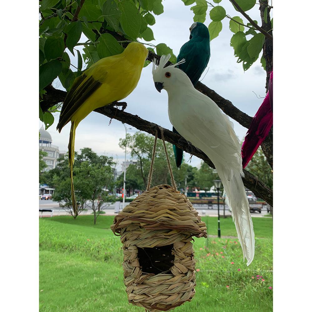 Lifelike Parrot Resin Garden Ornament by HitMyNeed