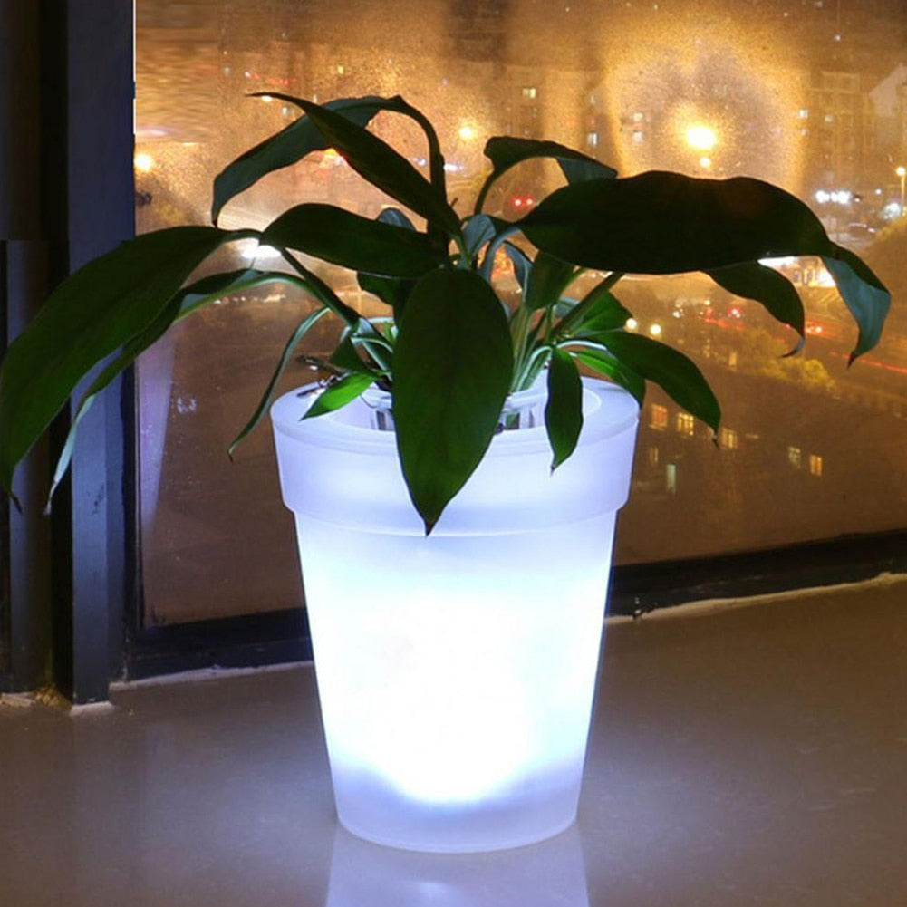 Light Up LED Solar Plant Pot for Indoor & Outdoor by HitMyNeed