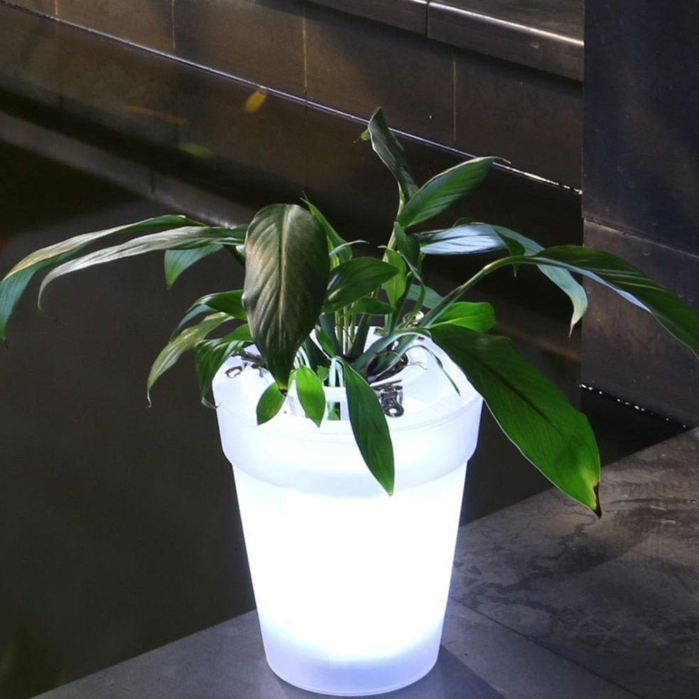 Light Up LED Solar Plant Pot for Indoor & Outdoor by HitMyNeed