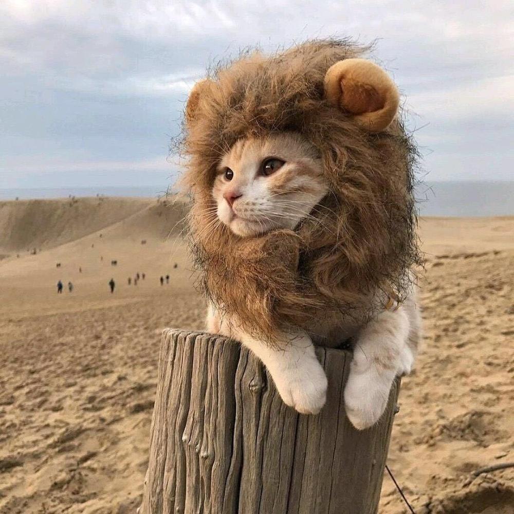 Lion Mane Head Cap Costume for Cats by HitMyNeed