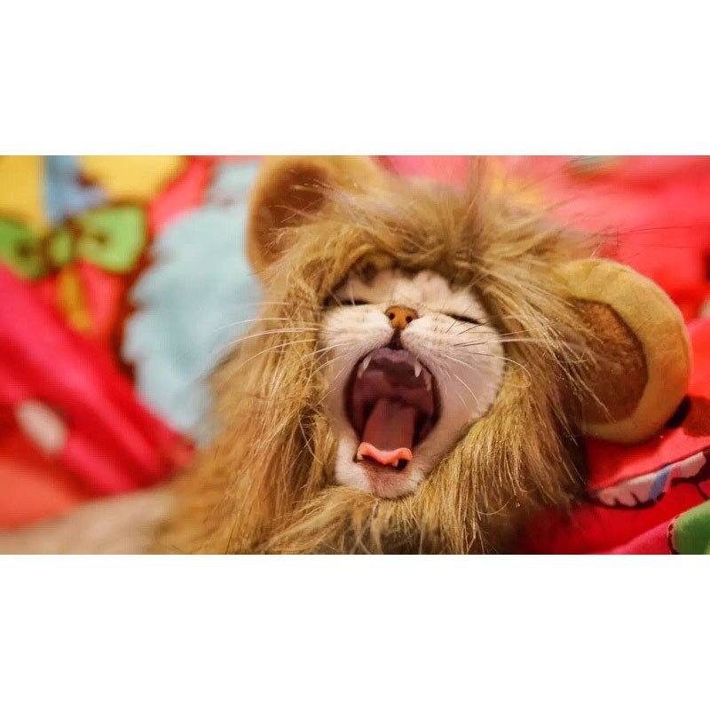 Lion Mane Head Cap Costume for Cats by HitMyNeed