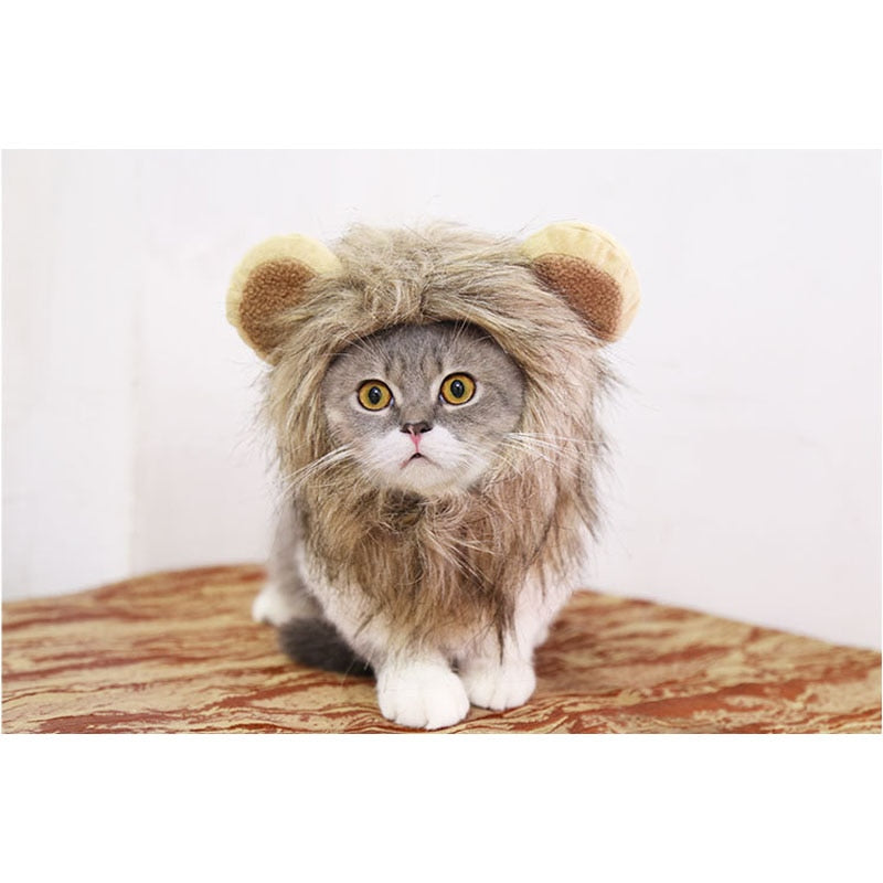 Lion Mane Head Cap Costume for Cats by HitMyNeed