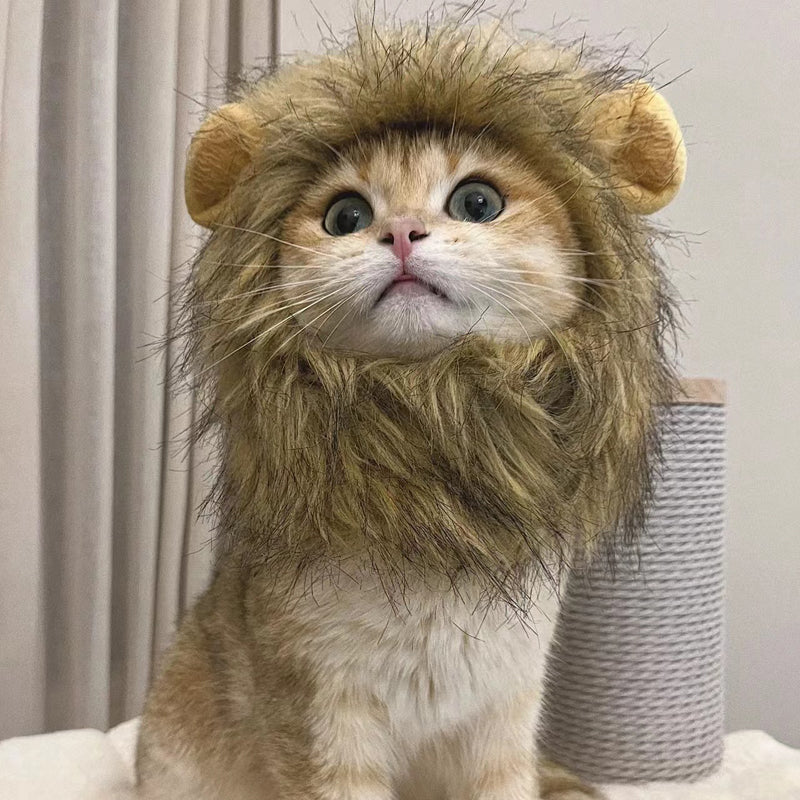 Lion Mane Wig for Cats - Adjustable Costume Accessory l by HitMyNeed