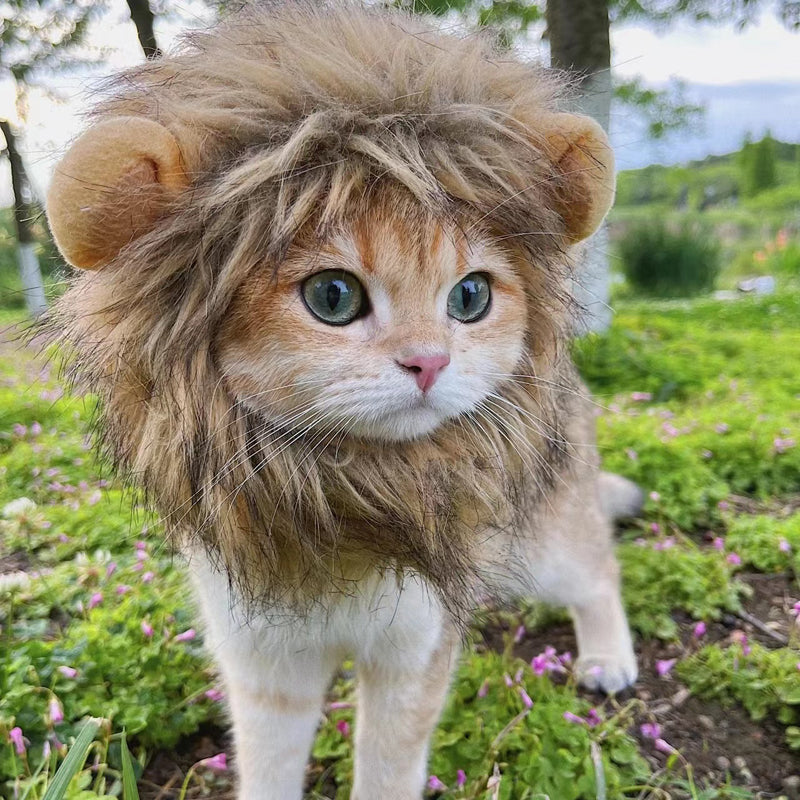 Lion Mane Wig for Cats - Adjustable Costume Accessory m by HitMyNeed