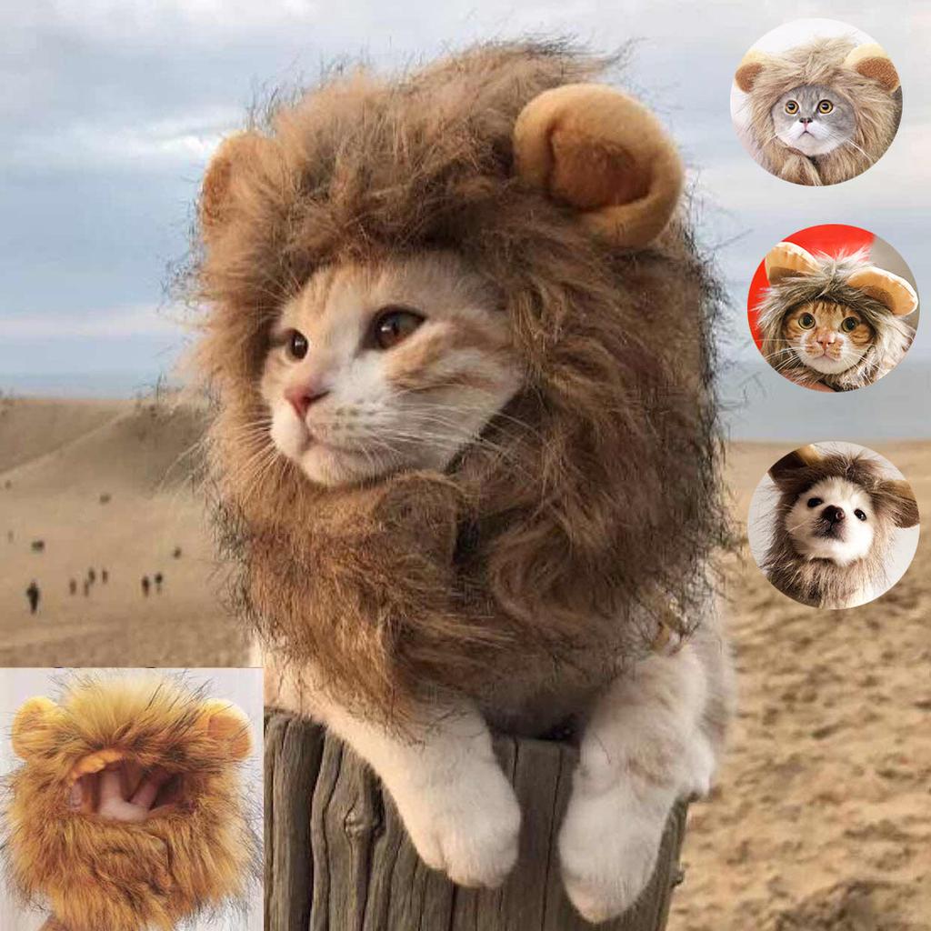 Lion Mane Wig for Cats - Adjustable Costume Accessory s by HitMyNeed