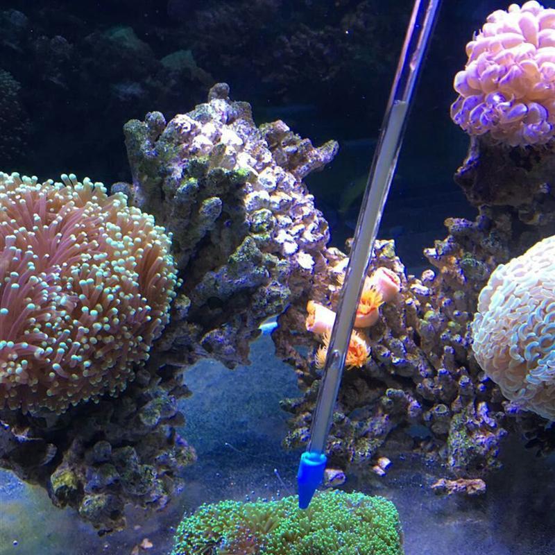 Long Acrylic Coral Feeder Tube with Suction Bulb by HitMyNeed