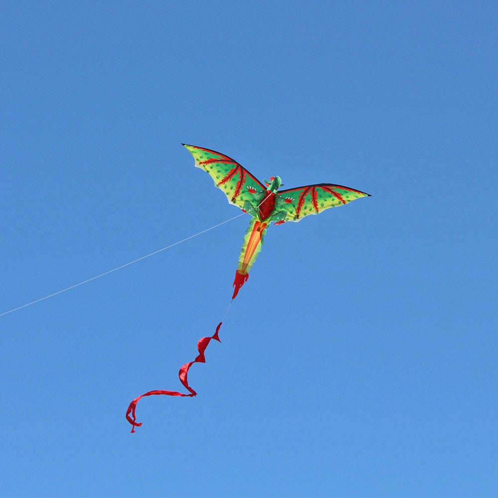 Long Tailed 3D Flying Dragon Kite with 100m Line by HitMyNeed