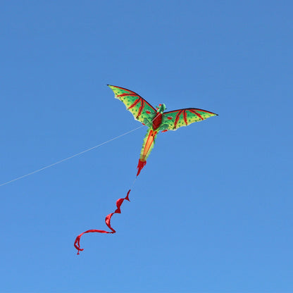 Long Tailed 3D Flying Dragon Kite with 100m Line by HitMyNeed