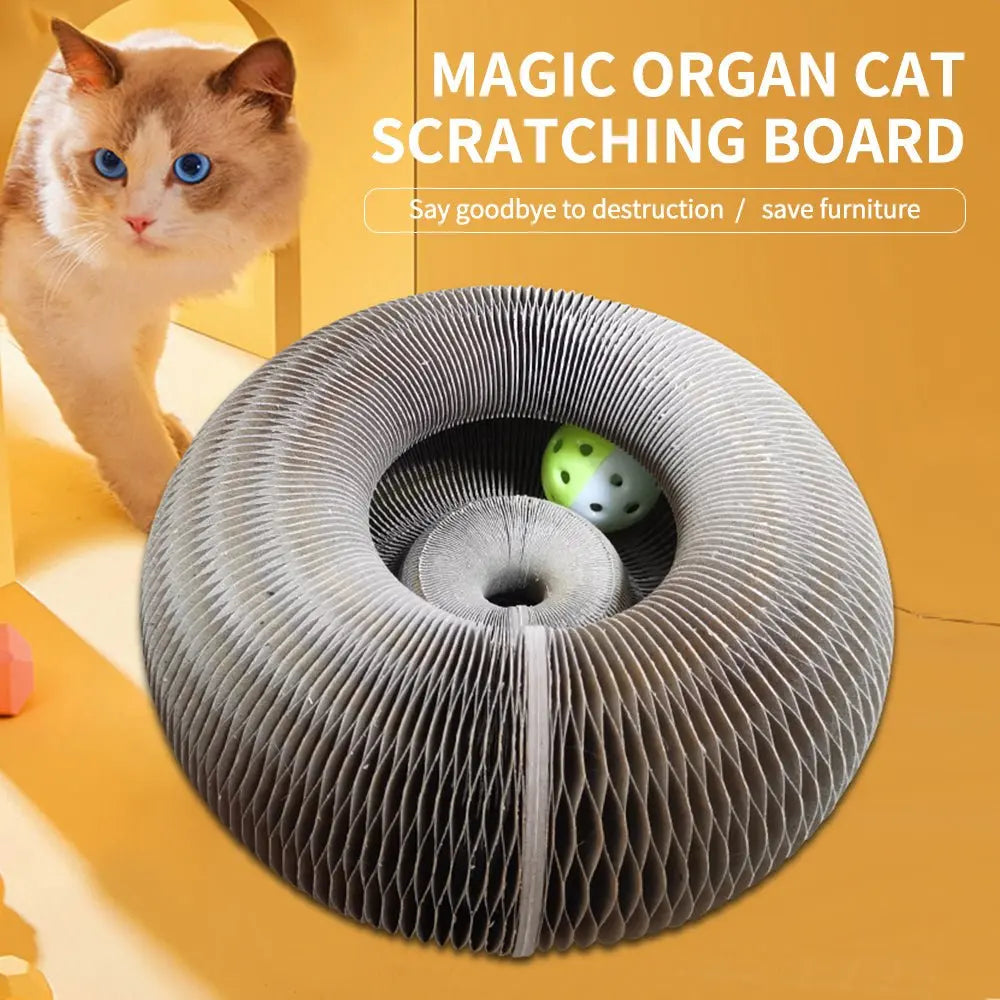 Magic Organ Foldable Cat Scratch Board with Bell by HitMyNeed