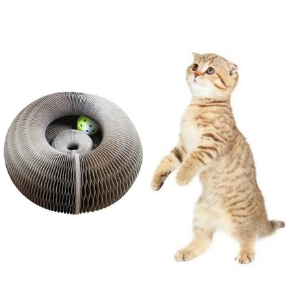 Magic Organ Foldable Cat Scratch Board with Bell by HitMyNeed