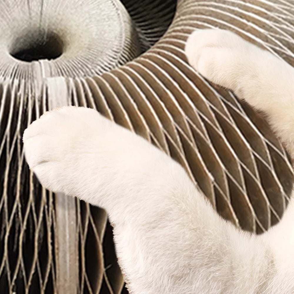 Magic Organ Foldable Cat Scratch Board with Bell by HitMyNeed