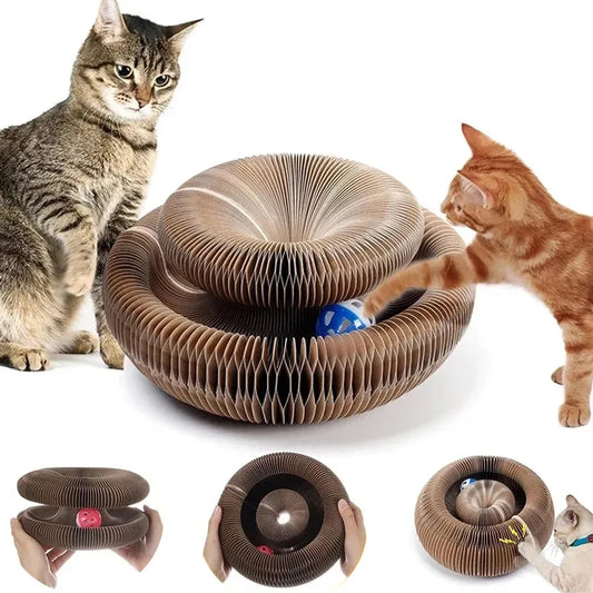 Magic Organ Round Cat Scratcher & Toy by HitMyNeed