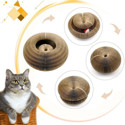 Magic Organ Round Cat Scratcher & Toy by HitMyNeed