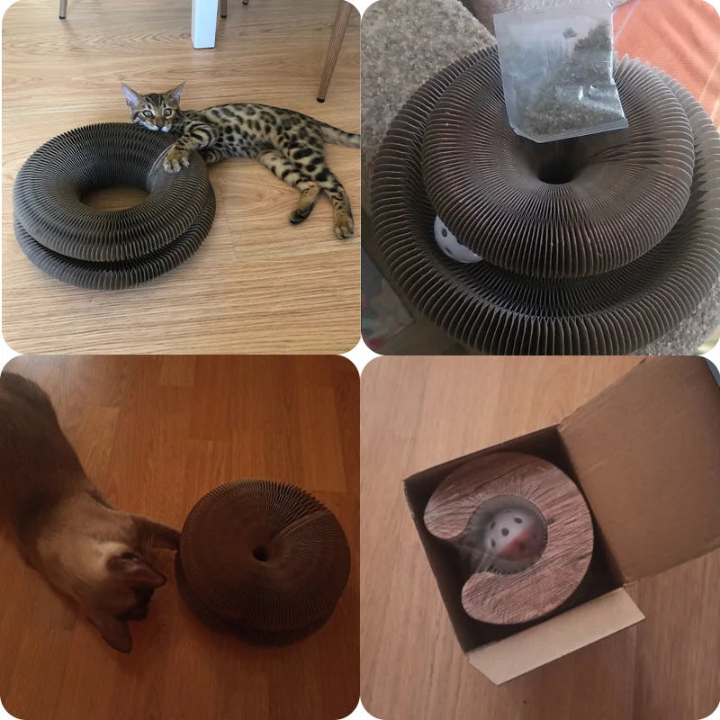 Magic Organ Round Cat Scratcher & Toy by HitMyNeed