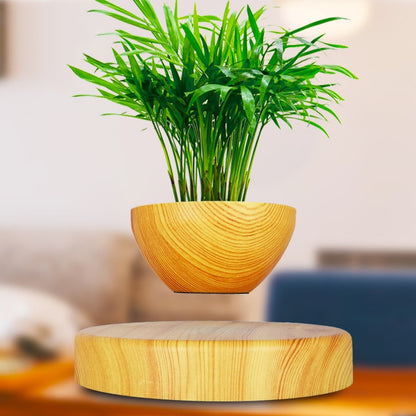 Magnetic Levitating Bonsai Plant with Wooden Base by HitMyNeed