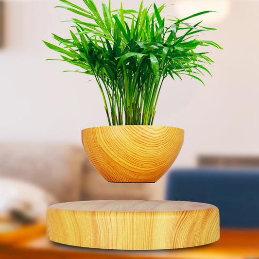 Magnetic Levitating Bonsai Plant with Wooden Base by HitMyNeed
