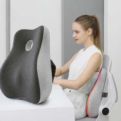Memory Foam Lumbar & Seat Cushion Set by HitMyNeed