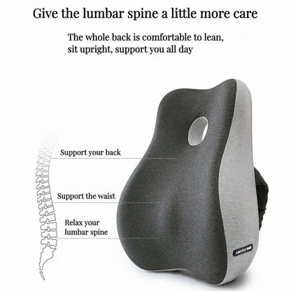 Memory Foam Lumbar & Seat Cushion Set by HitMyNeed
