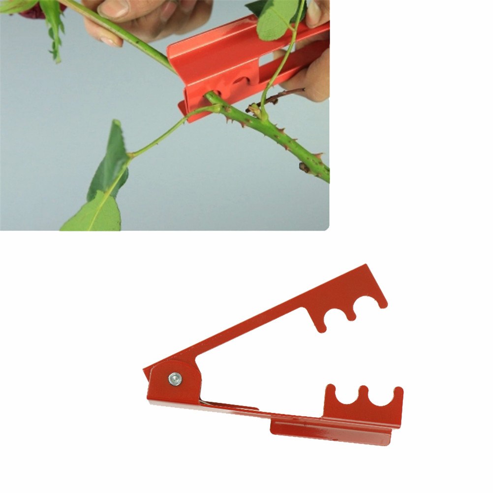 Metal Rose Thorn Stripper Garden Tool by HitMyNeed