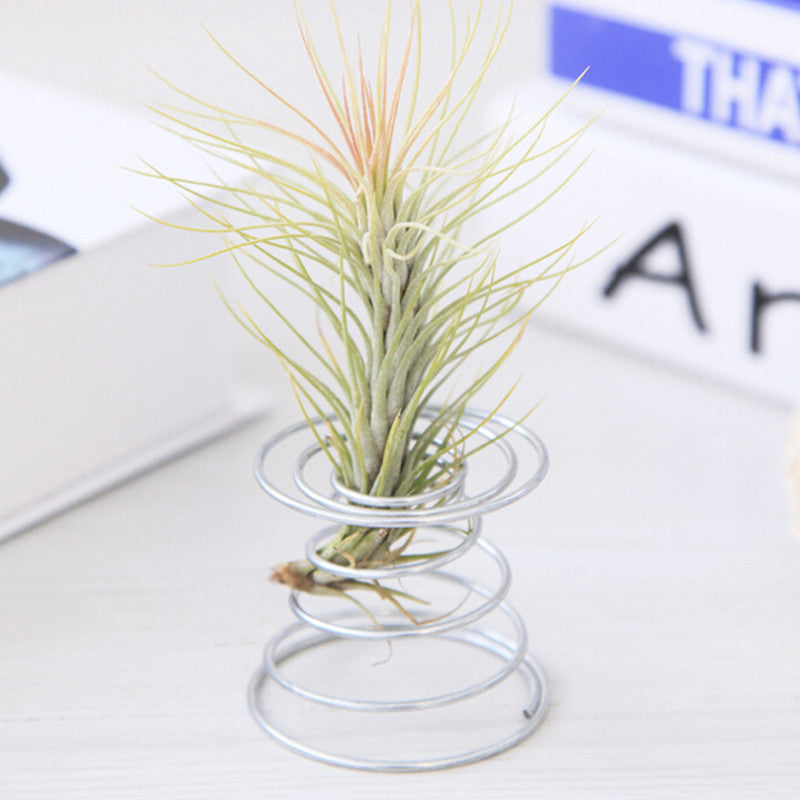 Metal Wire Air Plant Holder Stand by HitMyNeed