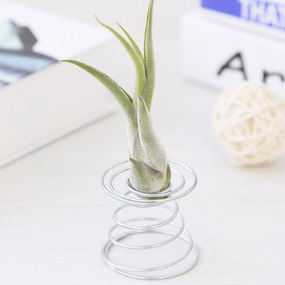 Metal Wire Air Plant Holder Stand by HitMyNeed