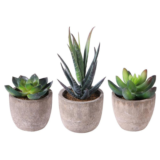 Mini Artificial Succulents in Pots, Set of 3 by HitMyNeed