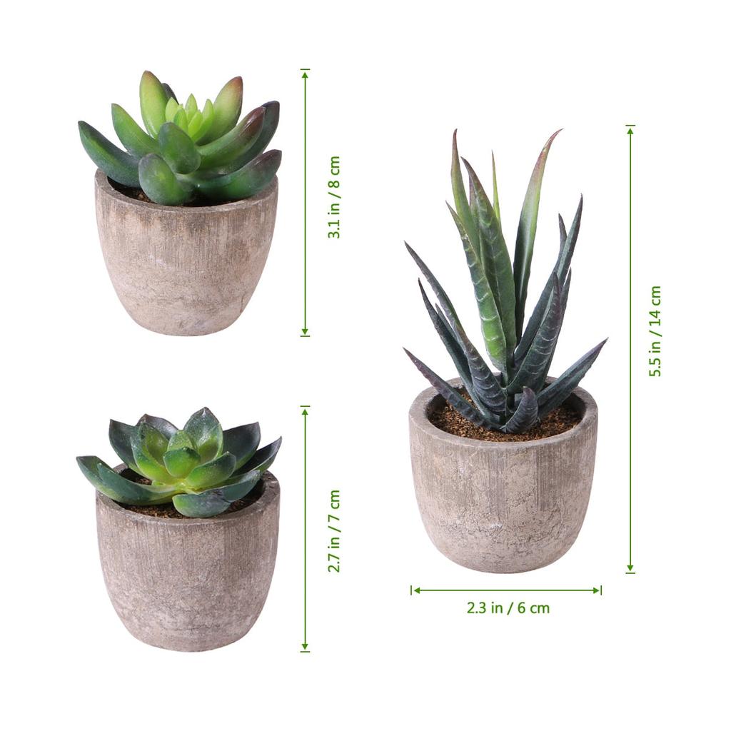 Mini Artificial Succulents in Pots, Set of 3 by HitMyNeed