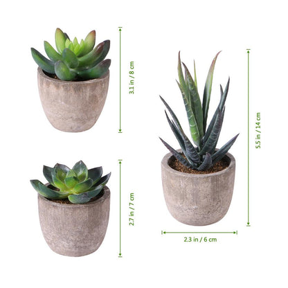 Mini Artificial Succulents in Pots, Set of 3 by HitMyNeed