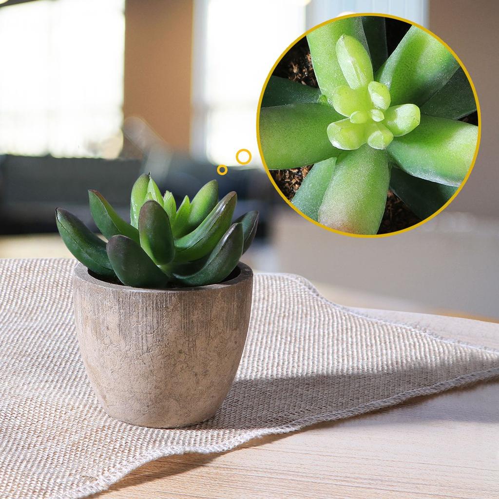 Mini Artificial Succulents in Pots, Set of 3 by HitMyNeed