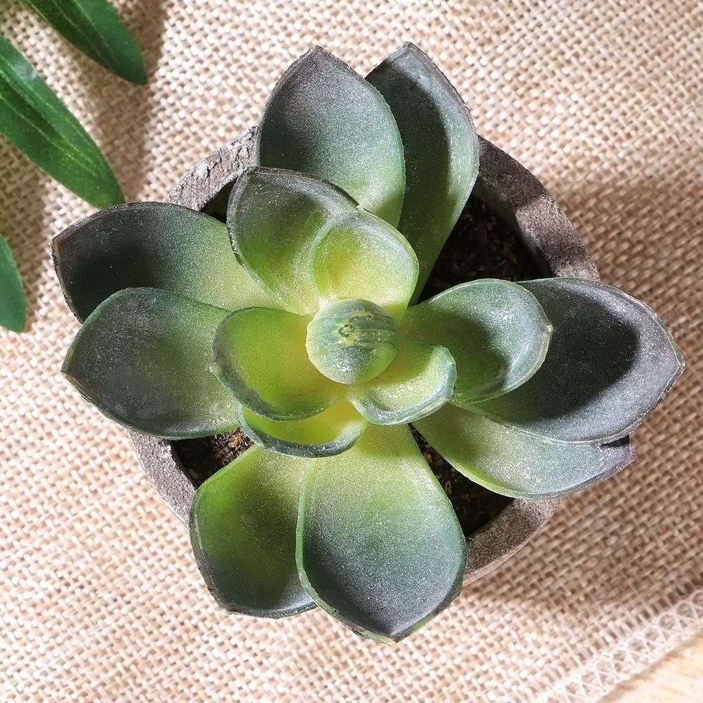 Mini Artificial Succulents in Pots, Set of 3 by HitMyNeed