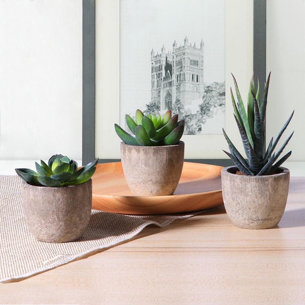 Mini Artificial Succulents in Pots, Set of 3 by HitMyNeed