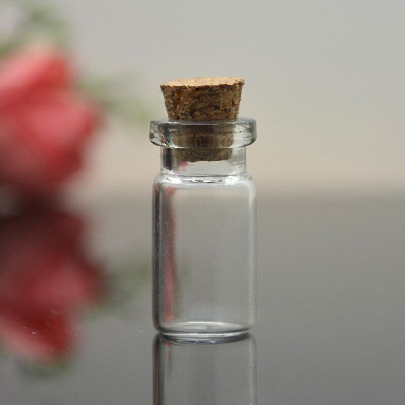 Mini Glass Vial Bottles with Cork (10 Pack) by HitMyNeed