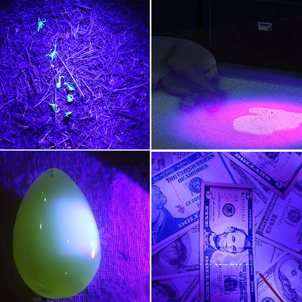 Mini UV LED Flashlight 395nm Blacklight Torch by HitMyNeed