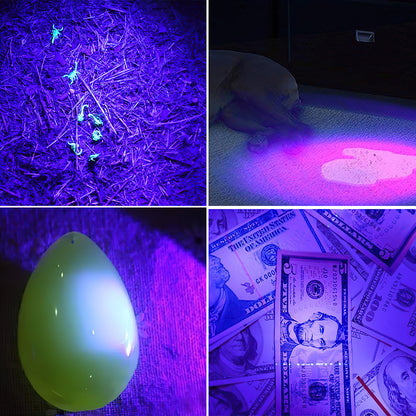 Mini UV LED Flashlight 395nm Blacklight Torch by HitMyNeed