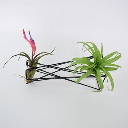 Minimalist Geometric Metal Plant Holder 10x21cm by HitMyNeed